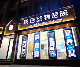 夜景